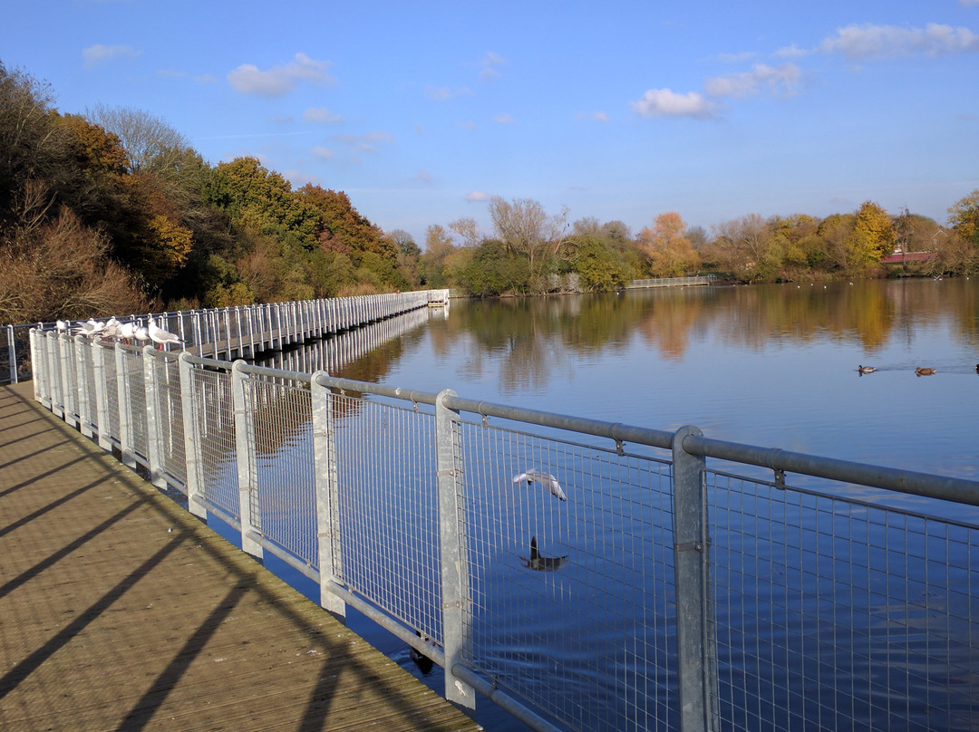 Ifield Mill Pond and Bewbush Water Gardens景点图片