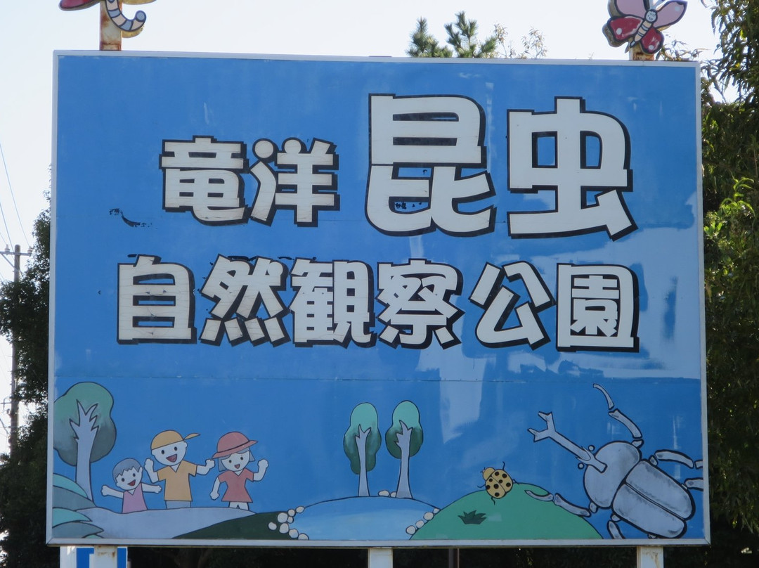 Ryuyo Insect Observation Park景点图片