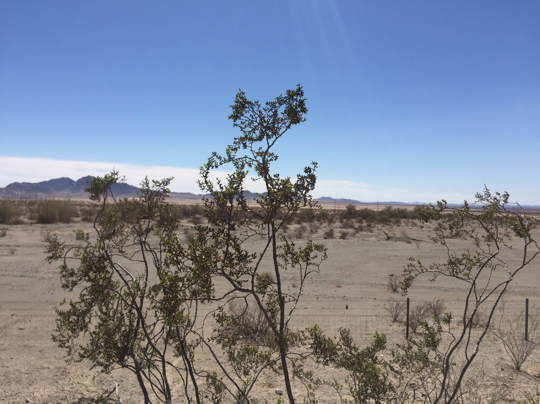 San Andreas Fault-棕榈沙漠必去景点