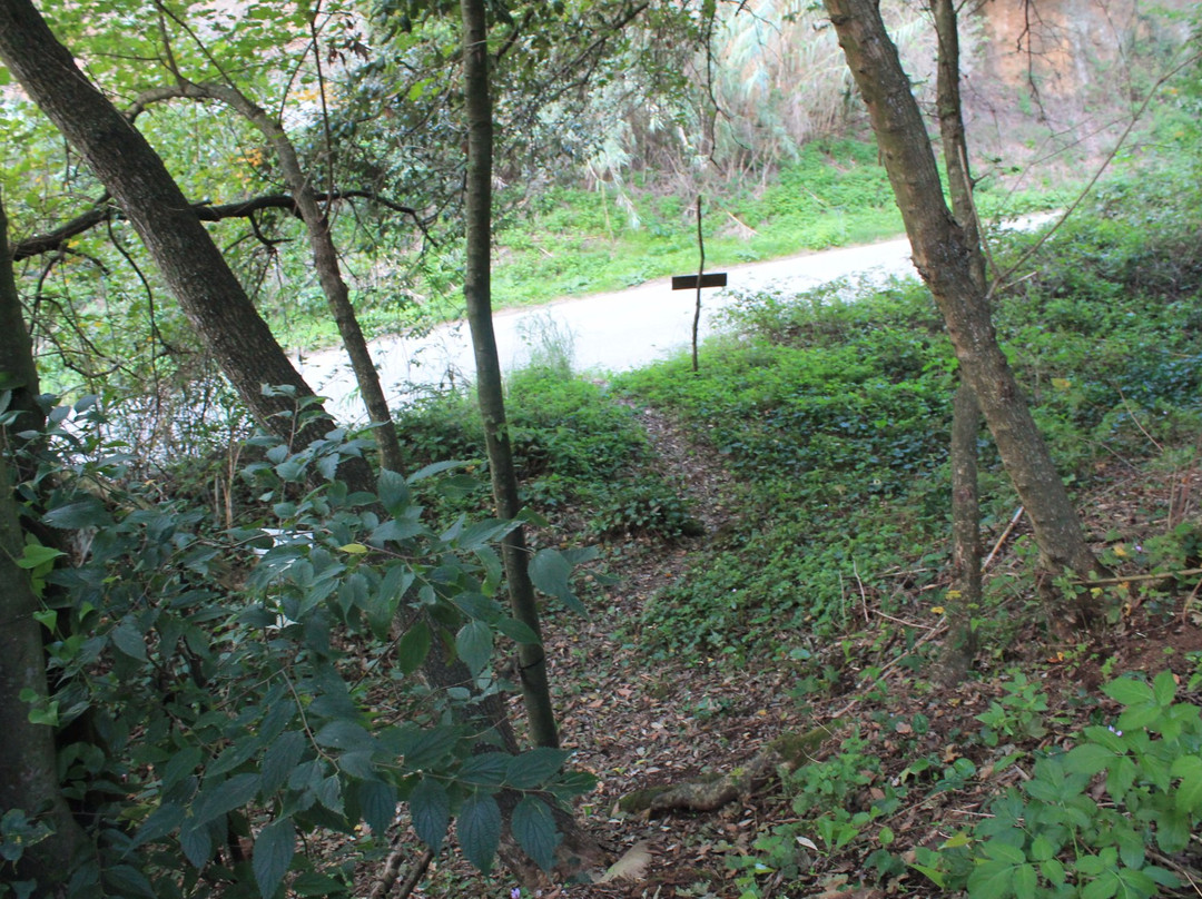 Tomba delle statue di Ceri景点图片