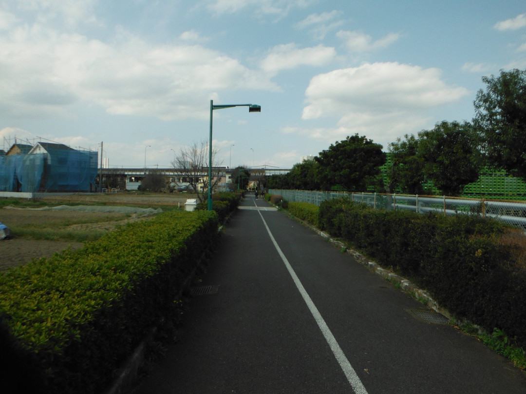 Shimogawara Green Pathway景点图片