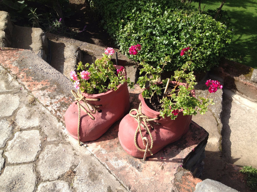 Nono Cloud Forest Day Tours-Nono必去景点