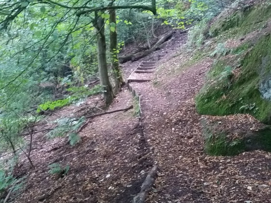 The Hermitage-Dale Abbey必去景点