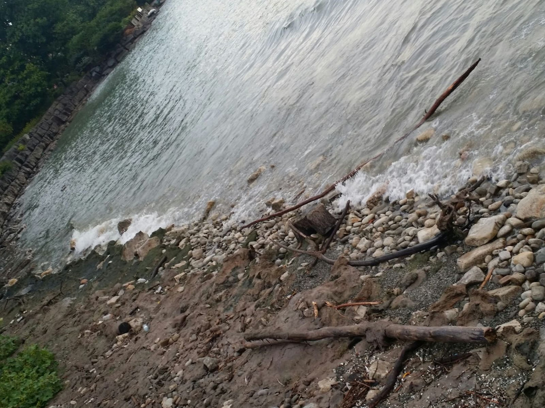 Adamson Estate-米西索加必去景点