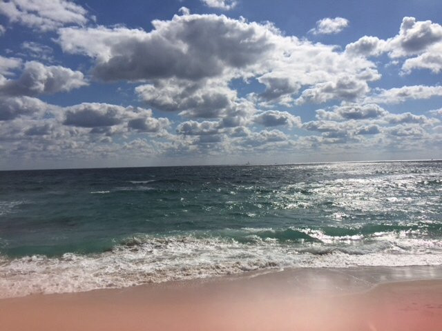 Gulfstream Park-德拉海滩必去景点