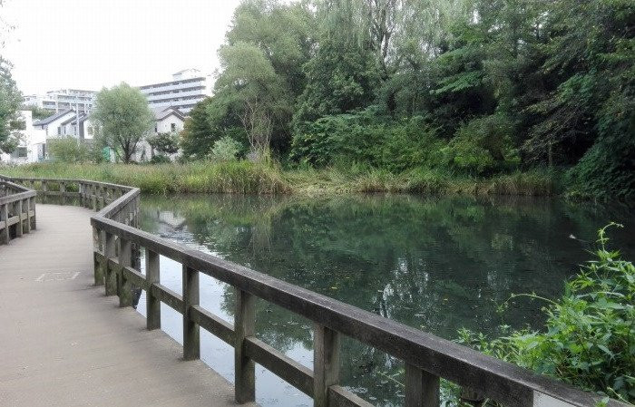 Sugatami no Ike-国分寺市必去景点