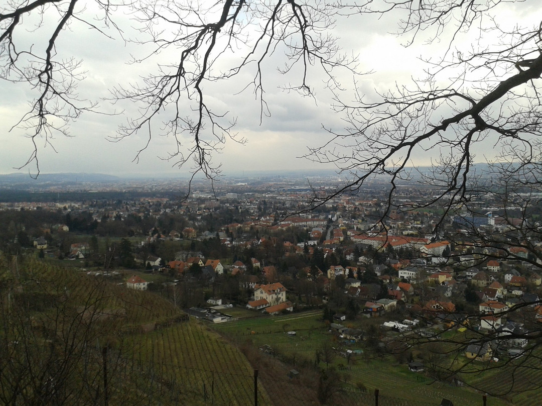 Bismarckturm-Radebeul必去景点