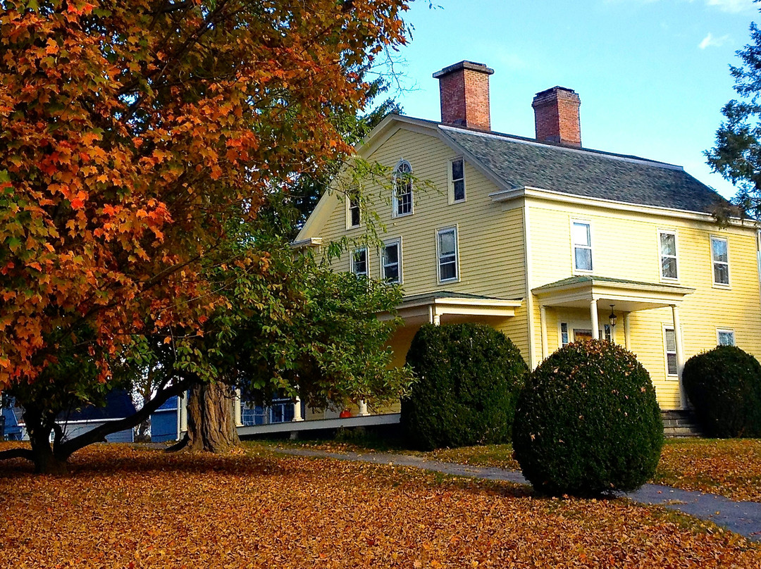 Violet Hill Bed and Breakfast主图