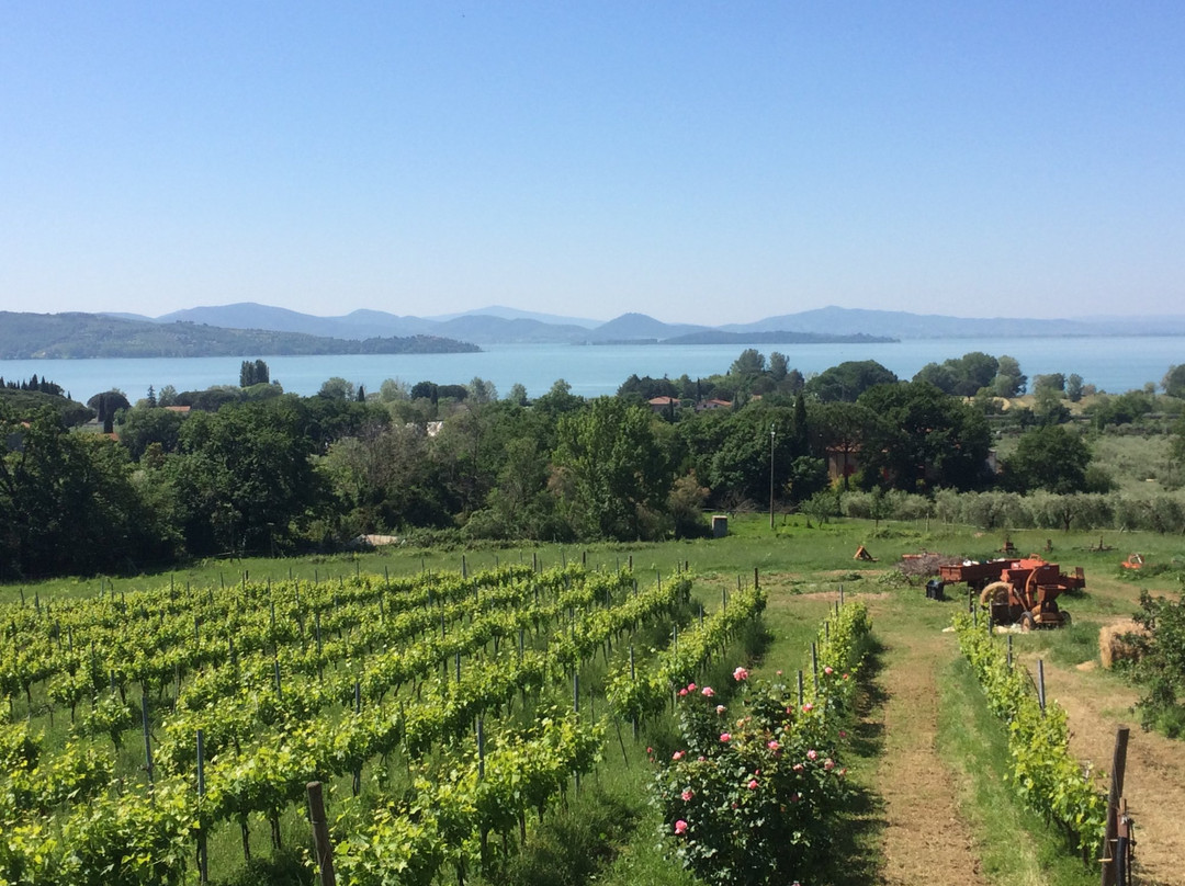 L'Antica Molinella主图