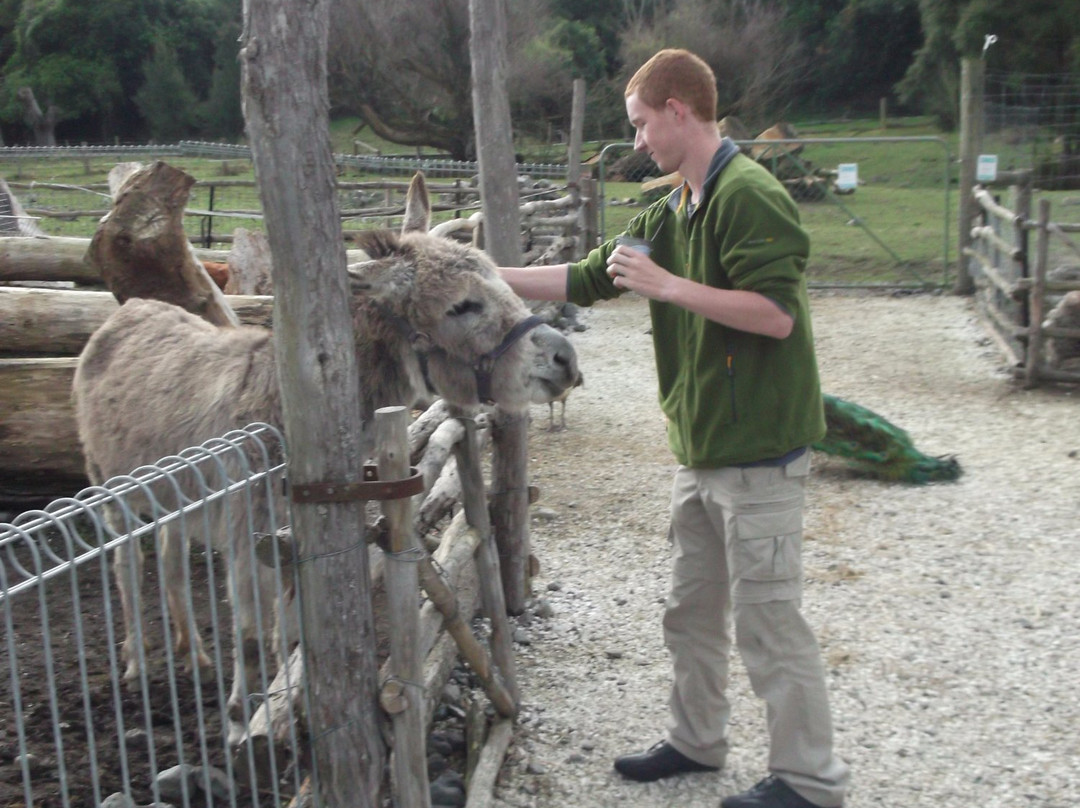 Fyffe View Ranch Adventure Park-Kaikoura必去景点