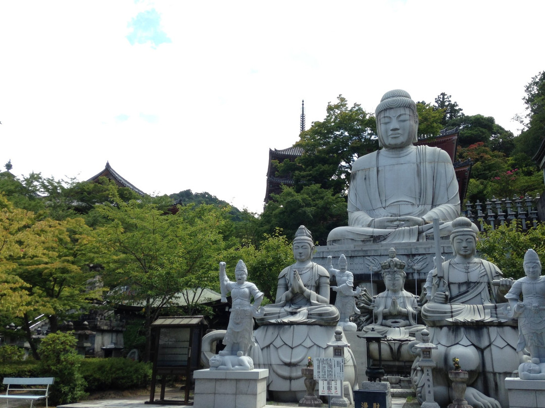 Tsubosaka-dera Temple景点图片