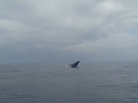 Rota Tropical-莫罗圣保罗必去景点