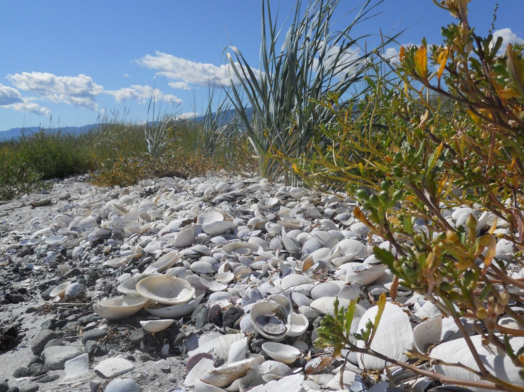 Sandy Island Marine Provincial Park景点图片