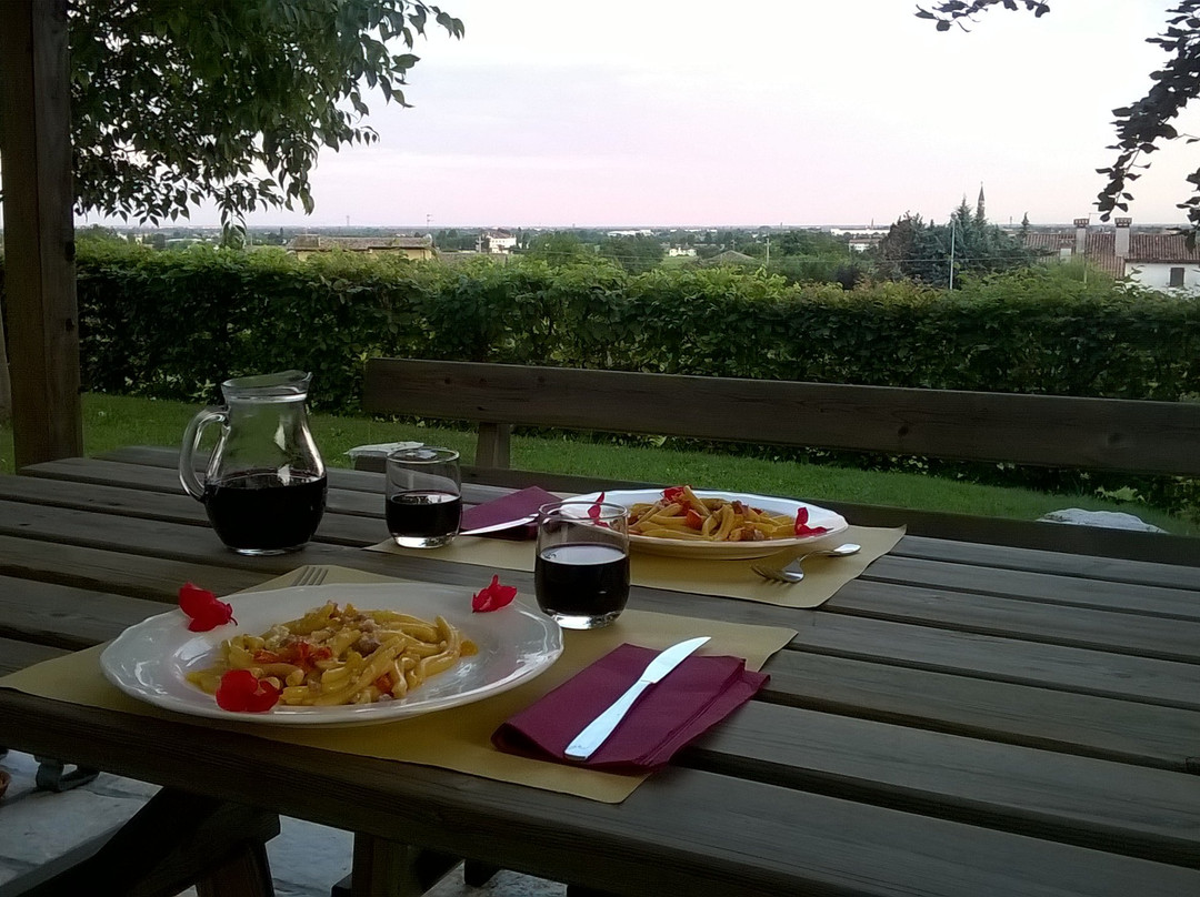 Agriturismo Casa Albaria主图