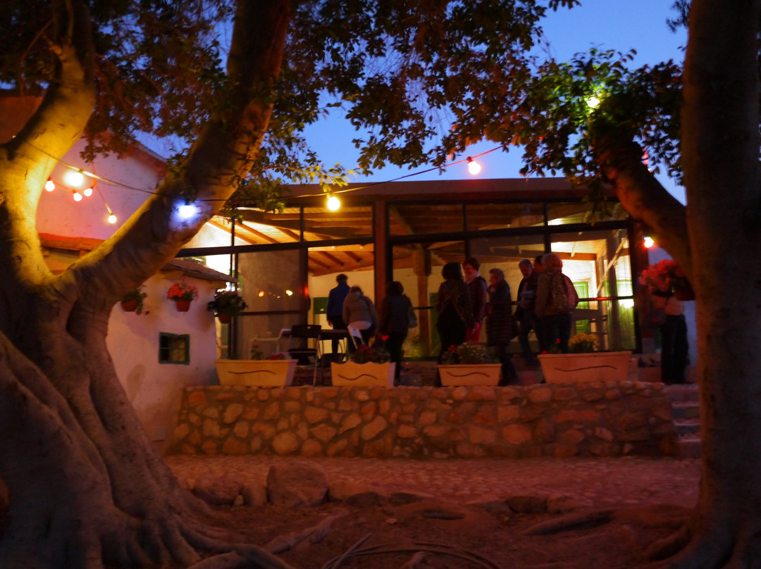 Mosaic Centre Laboratory-Jericho必去景点