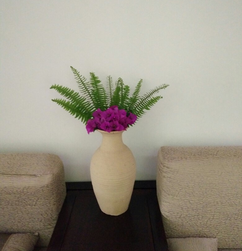 腾冲玉温泉酒店主图