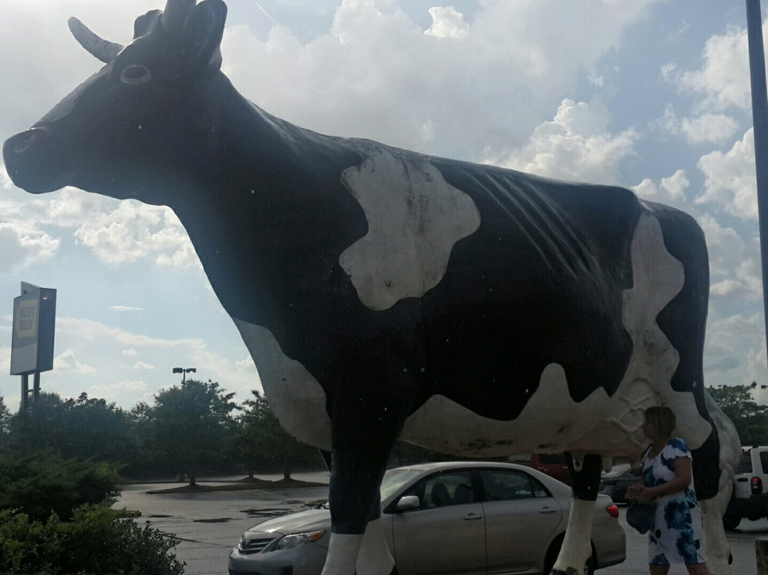 Kadie the Cow of Columbus-哥伦布必去景点