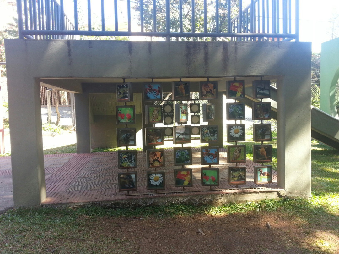 Parque Ecológico do Bairro Caiçara-贝洛哈里桑塔必去景点