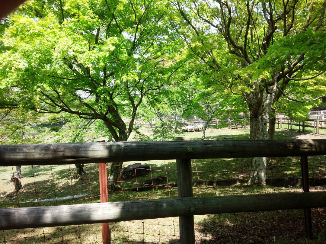 山添村旅游景点-Me Me Ranch