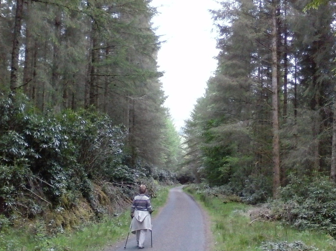Glengarra Woods-卡希尔必去景点