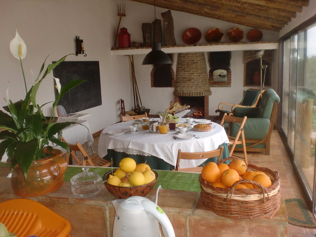 Mertola酒店住宿-Horta da Quinta