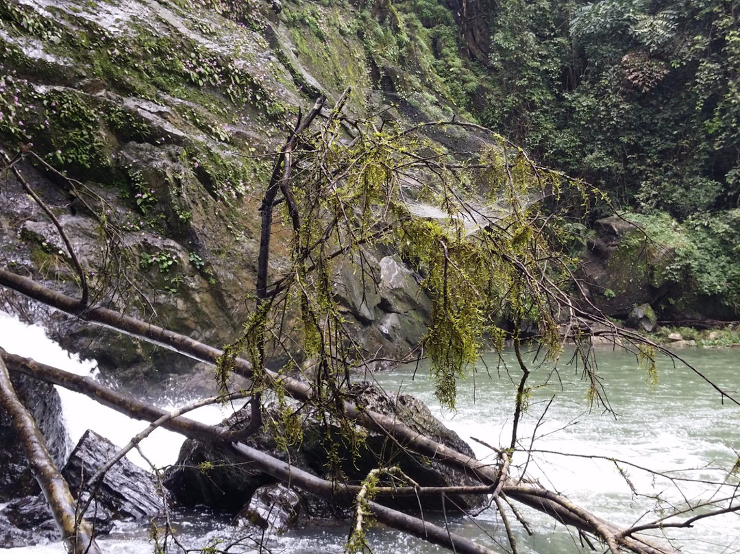 Jogigundi Falls景点图片