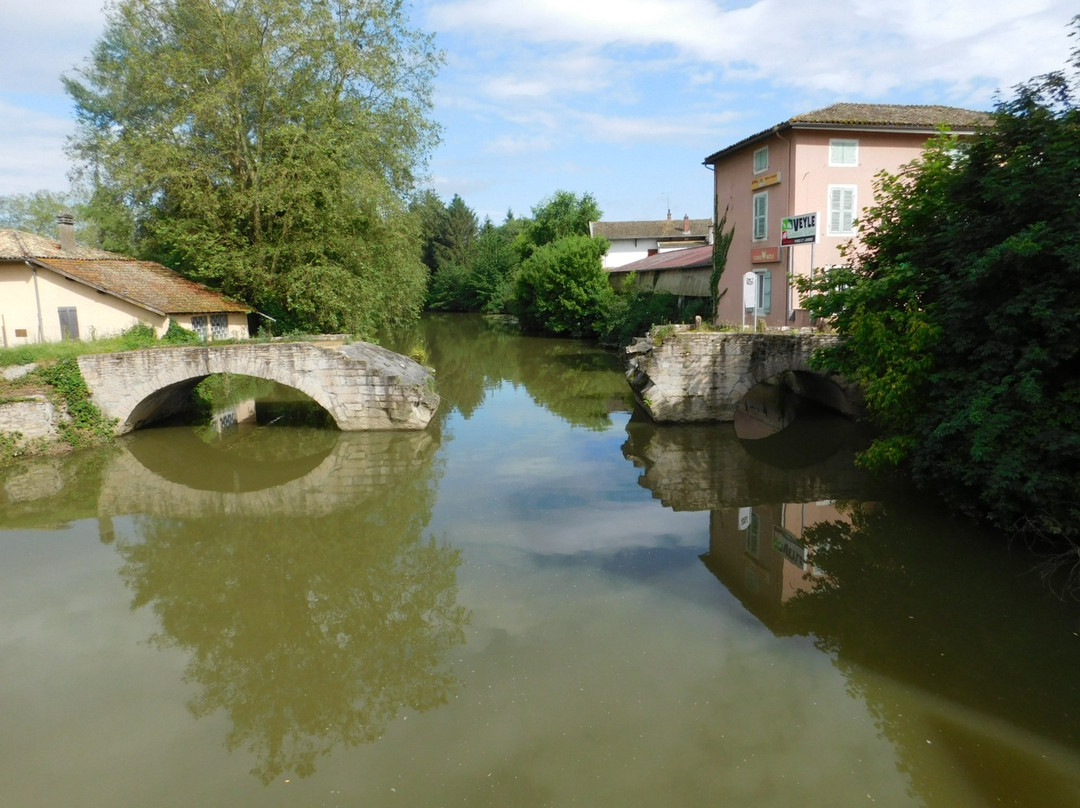 Église Notre-Dame de Pont-de-Veyle-Pont-de-Veyle必去景点