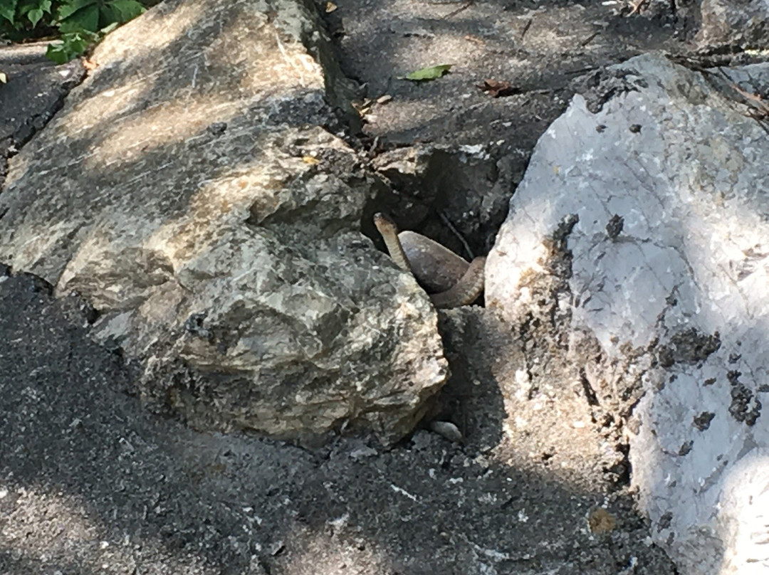 Cades Cove Campground Store and Bike Rental-汤森必去景点