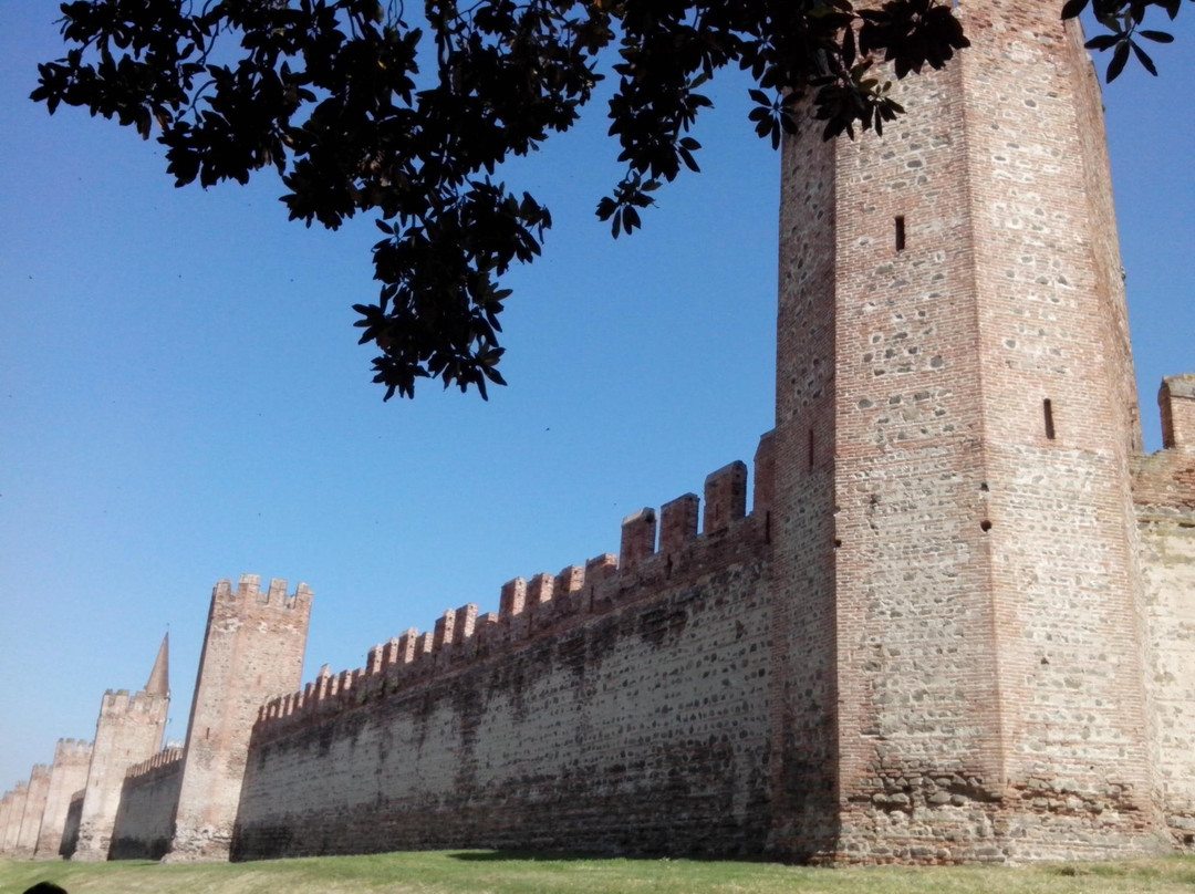 Museo Civico Antonio Giacomelli景点图片