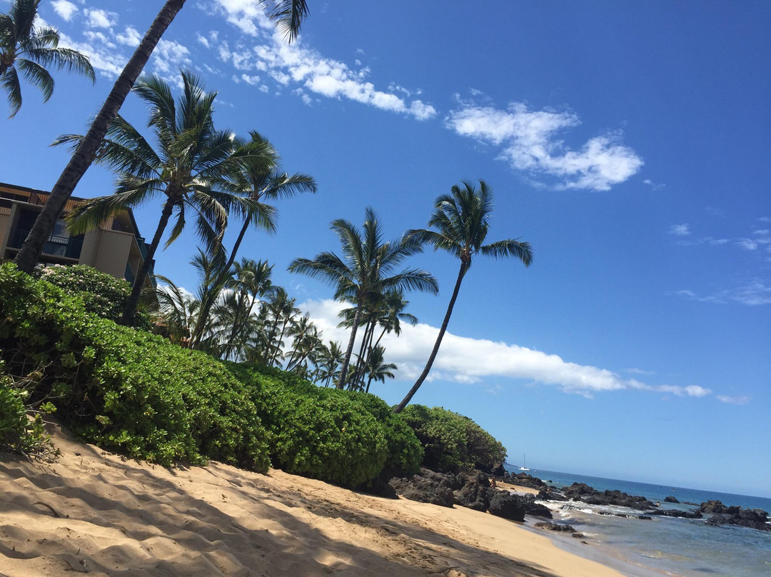 Cove Park-基黑必去景点