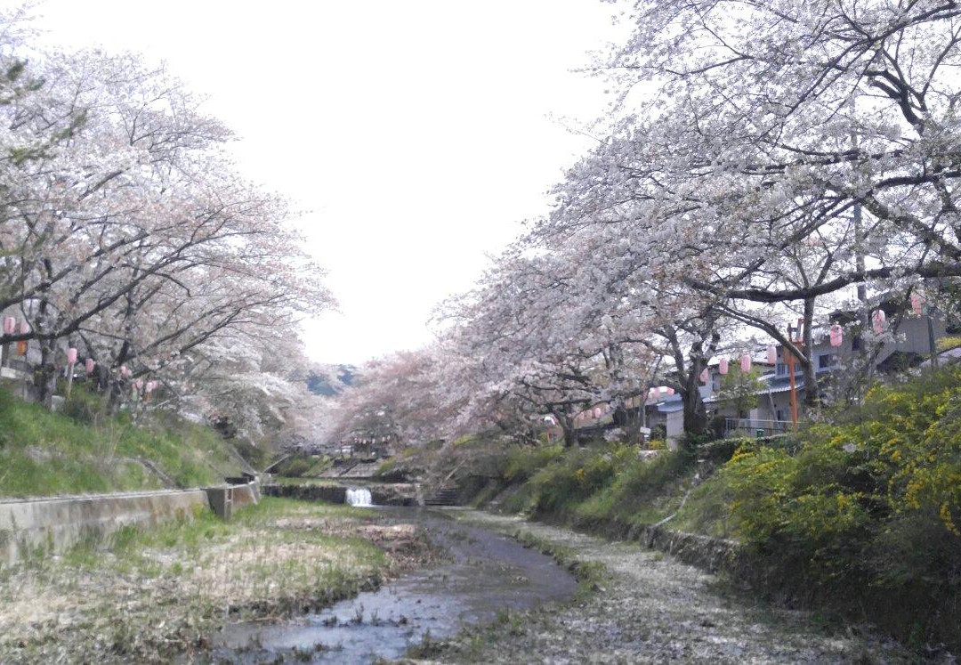 Jizozenin Temple景点图片