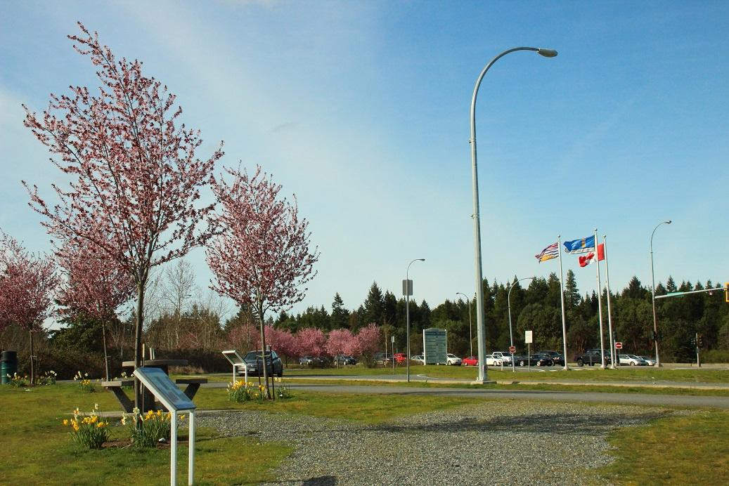 Tourism Nanaimo Visitor Centre景点图片