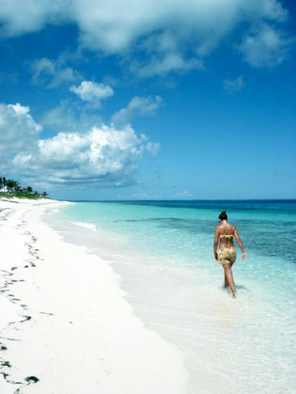 亚历山德拉公主国家公园-普罗维登西亚莱斯必去景点