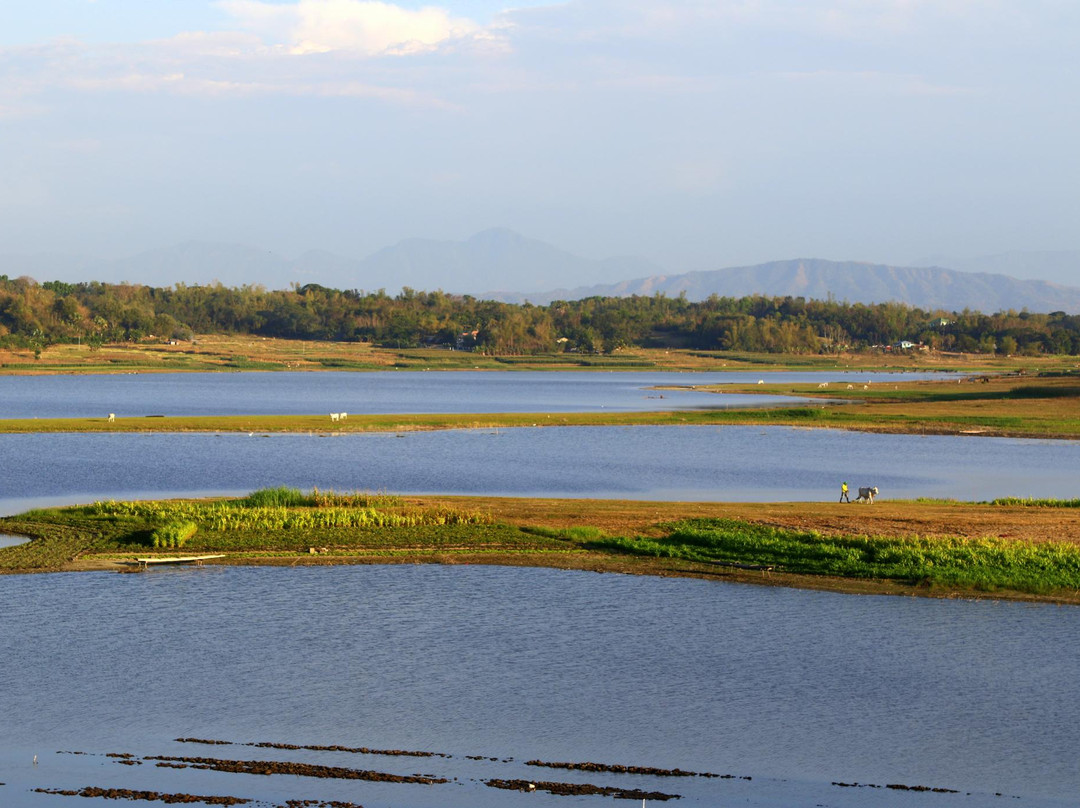 Paoay Lake National Park景点图片