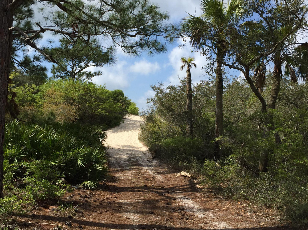 Saint Vincent National Wildlife Refuge景点图片
