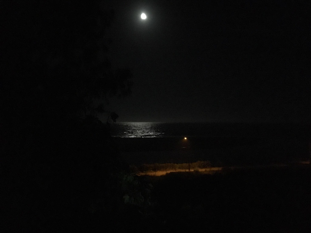 Pelluhue Outdoor-Pelluhue必去景点