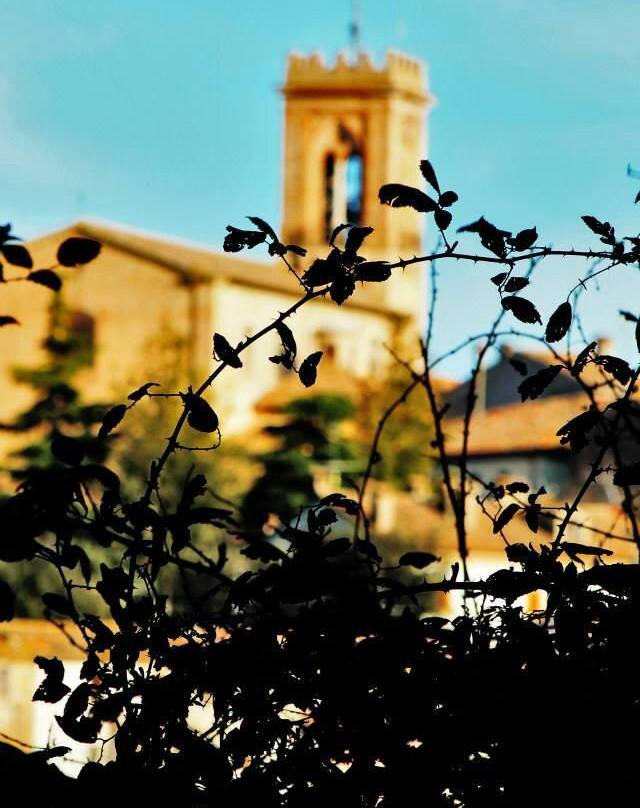Castello e Torre Civica景点图片