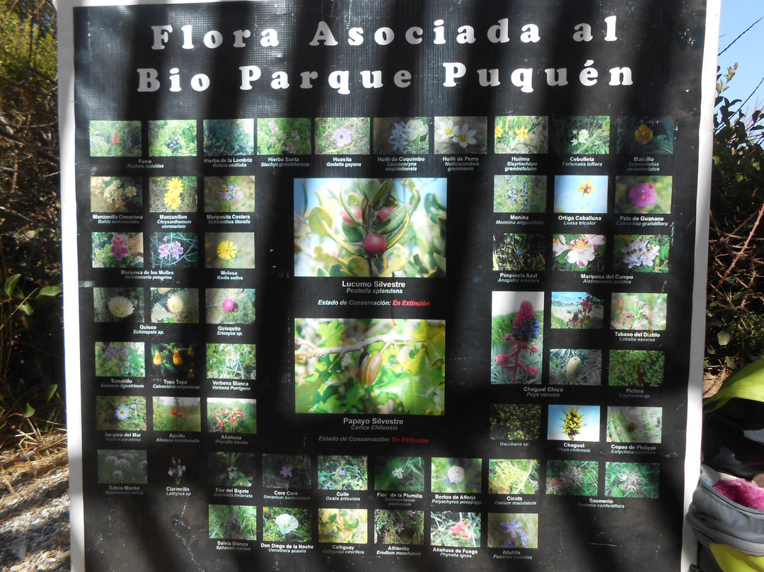 Salto El Puquen-Los Molles必去景点