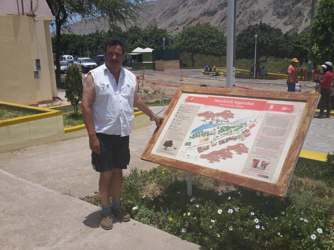 Museo Chiribaya-Ilo必去景点