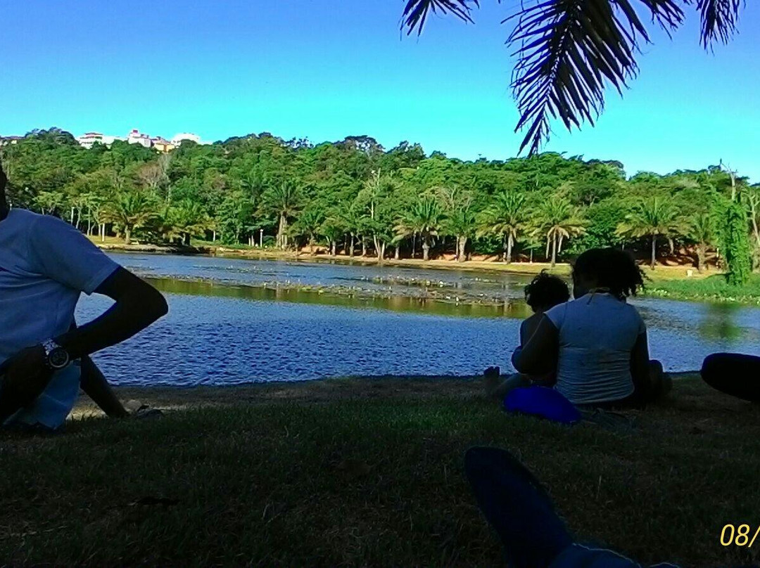 Horto da Serra Botanical Garden景点图片