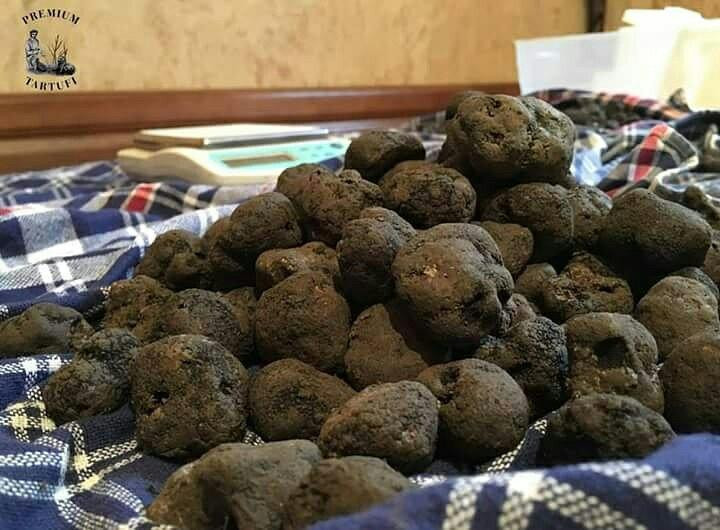 Premium Truffles-Motovun必去景点