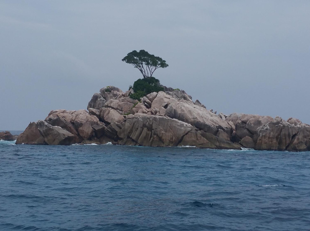 Diving Cruises Seychelles景点图片