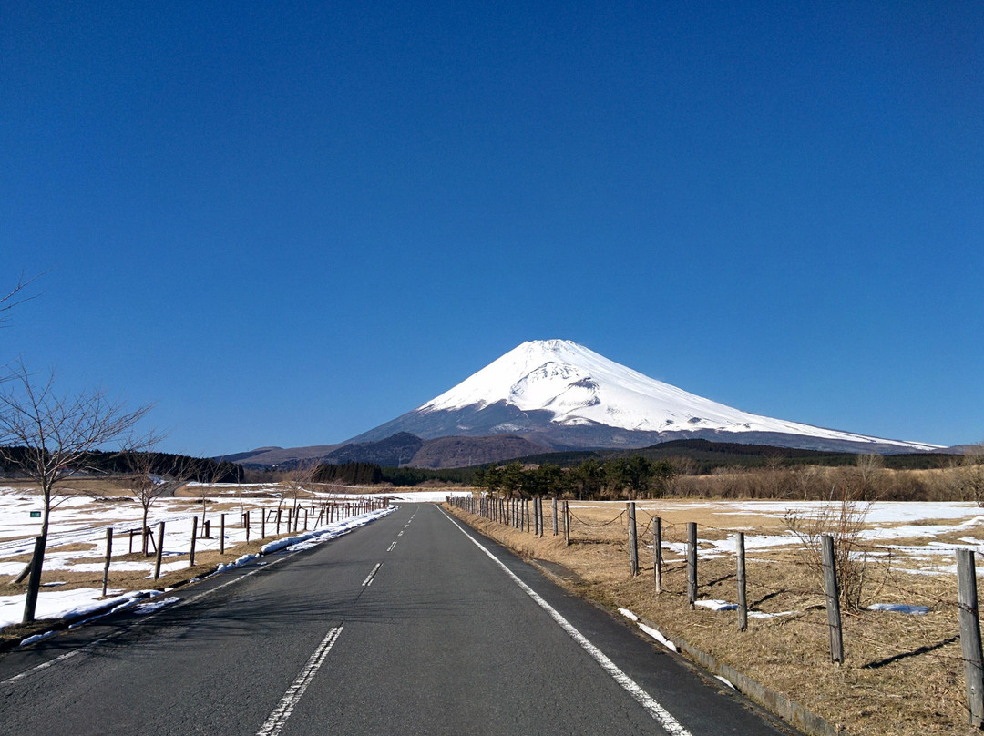 Country Hotel Red Fox主图