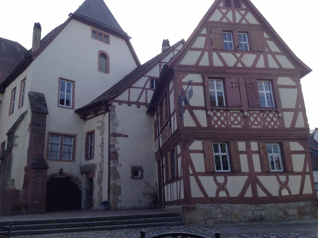 Castle Kurmainzisches景点图片