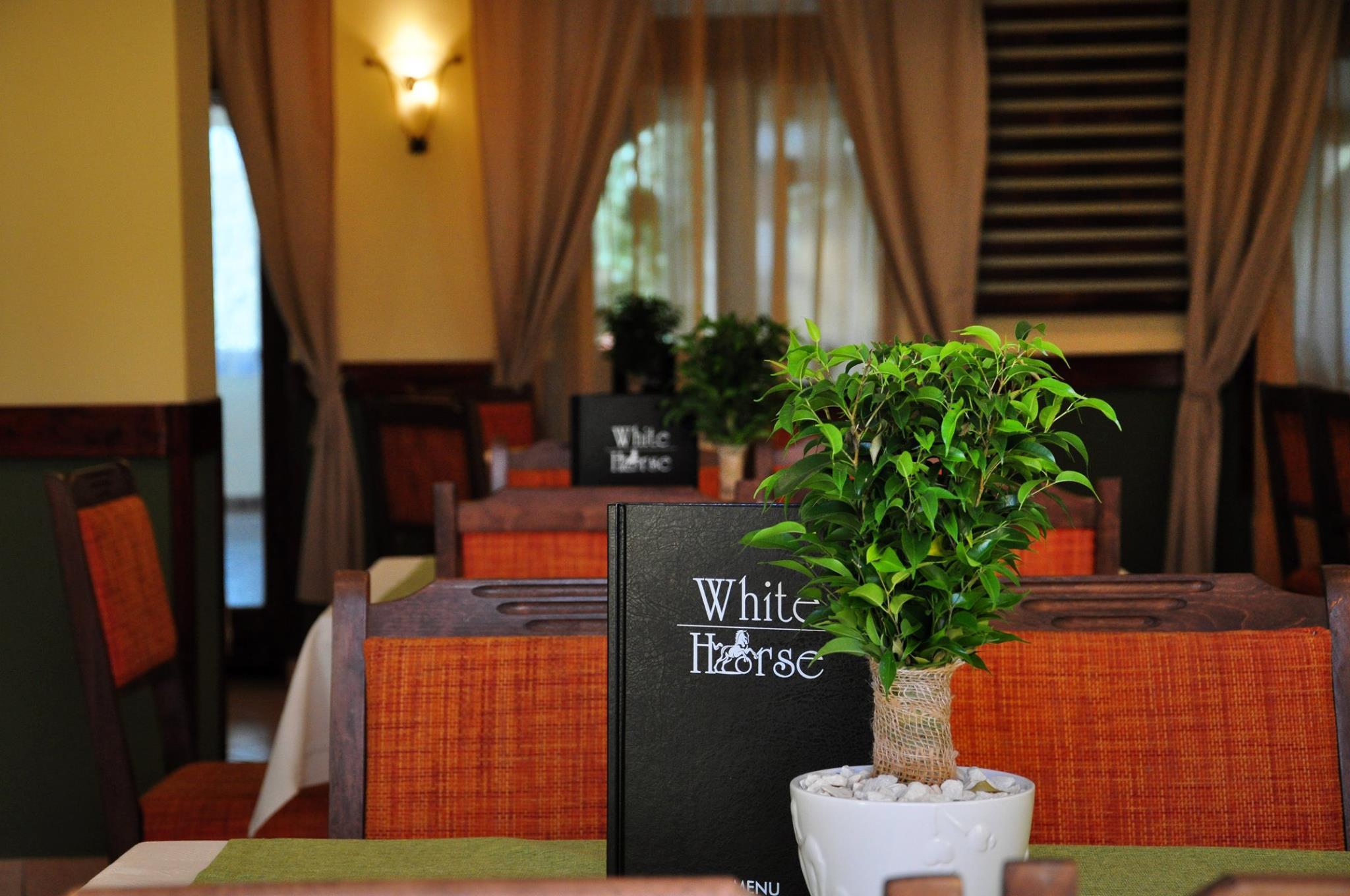 White Horse Pensiunea-官方