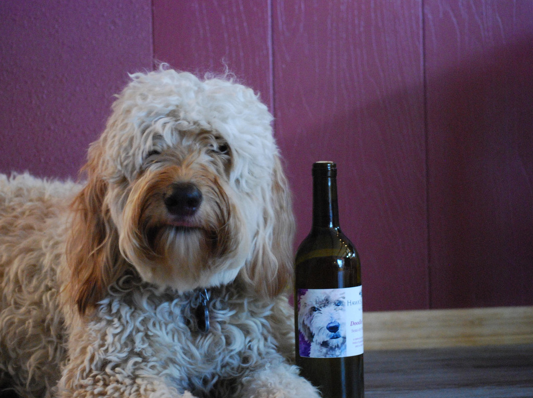 Hawk's Mill Winery-Browntown必去景点