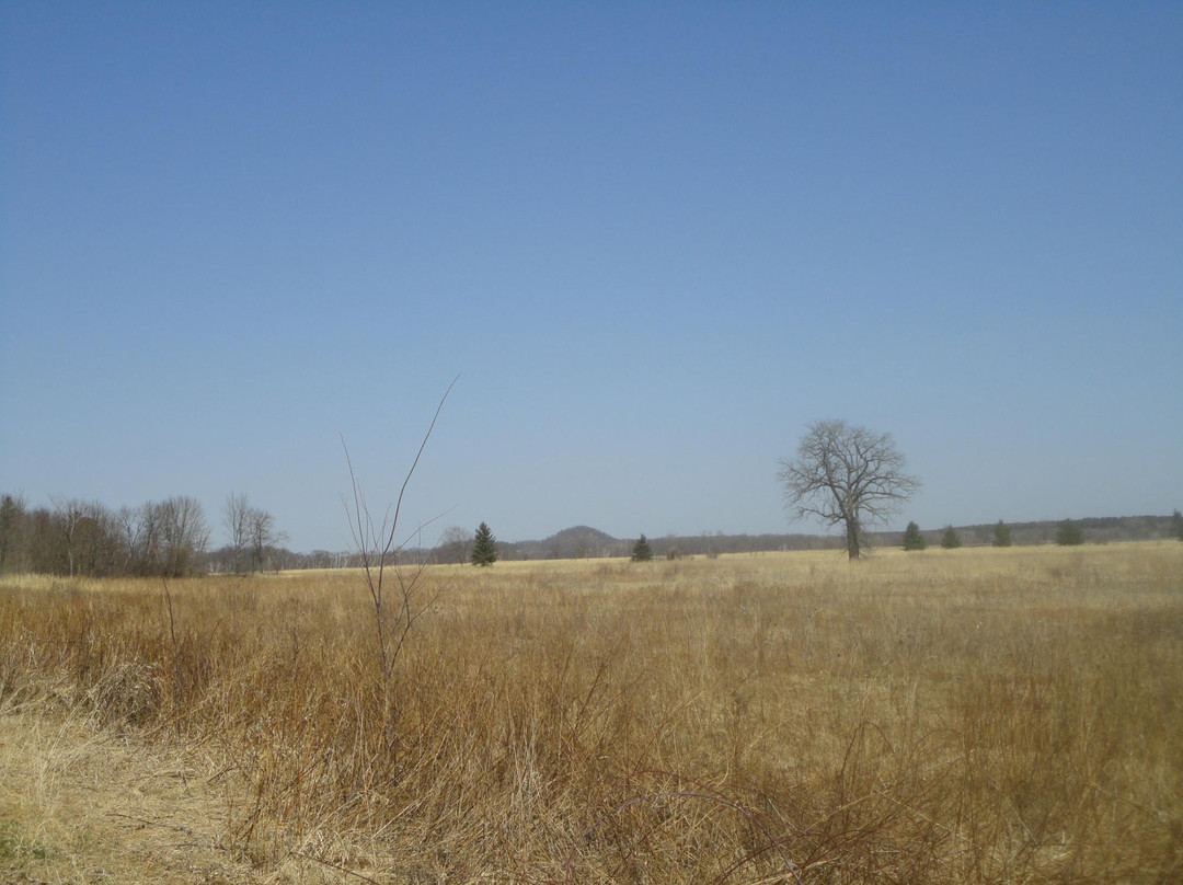 Kettle Moraine State Forest景点图片