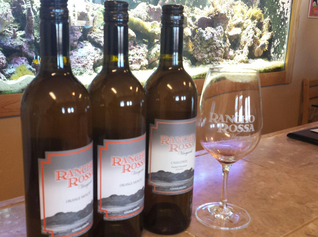 Rancho Rossa Vineyards景点图片