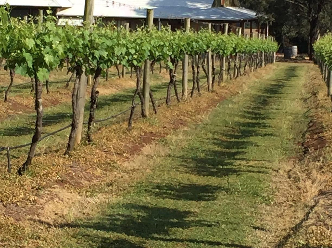 Whispering Brook Cellar Door, Winery, Guesthouse-Broke必去景点