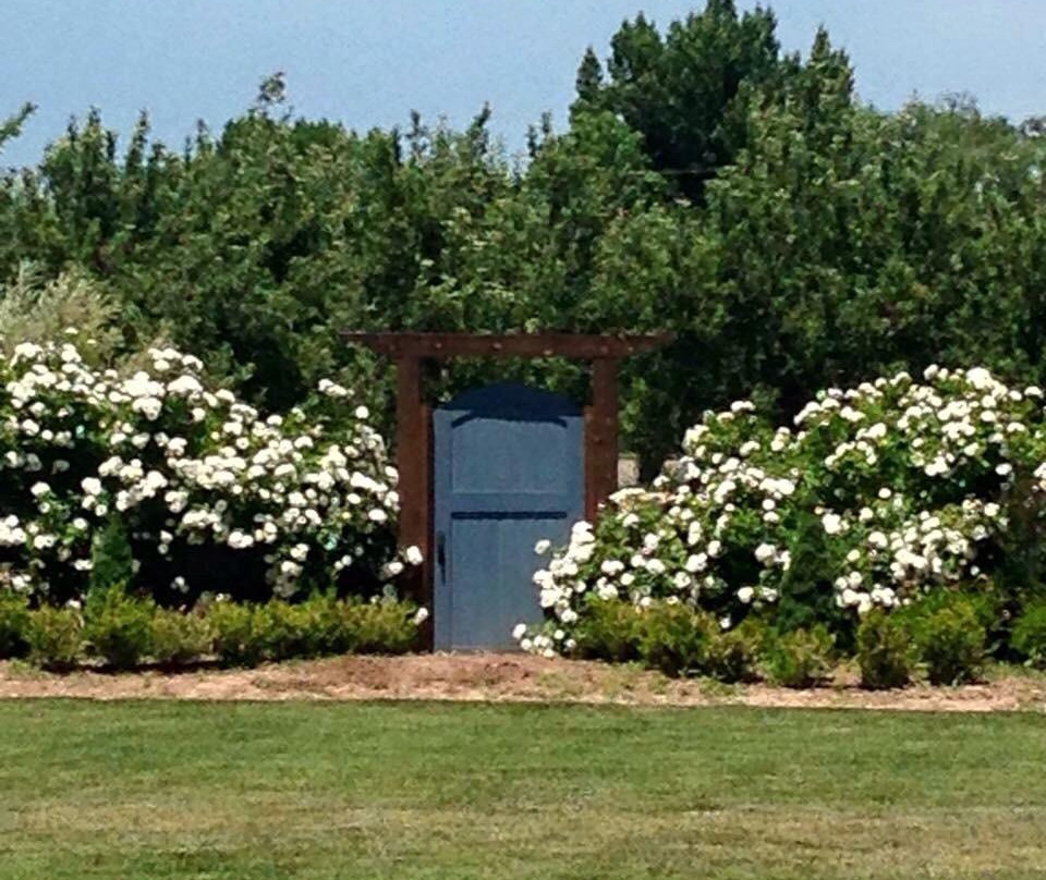 Corrales Winery-科拉雷斯必去景点